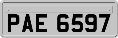 PAE6597