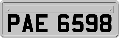 PAE6598