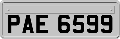 PAE6599
