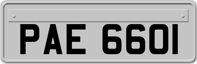 PAE6601