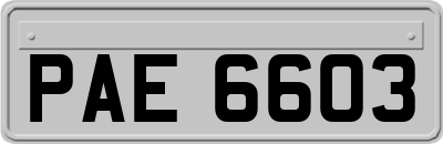 PAE6603