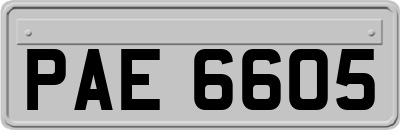 PAE6605