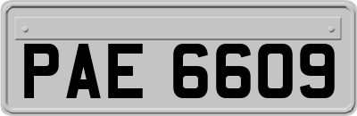 PAE6609