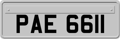 PAE6611