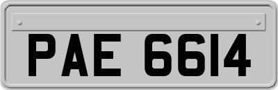 PAE6614