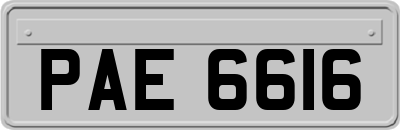PAE6616