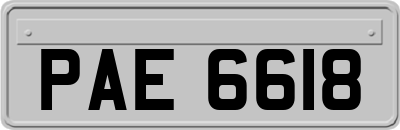 PAE6618