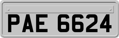 PAE6624