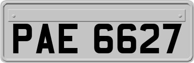 PAE6627