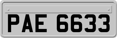 PAE6633