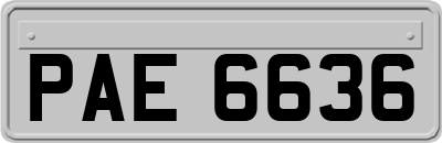 PAE6636