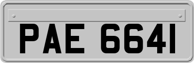 PAE6641
