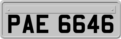 PAE6646
