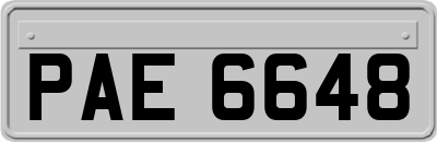 PAE6648