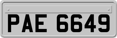 PAE6649