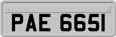 PAE6651