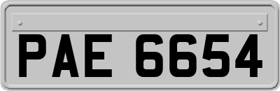 PAE6654