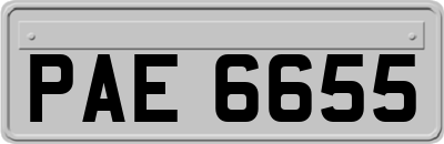 PAE6655