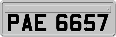 PAE6657