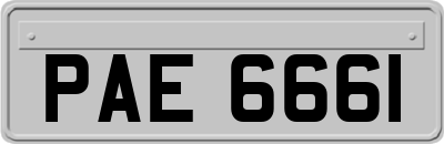 PAE6661