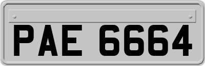 PAE6664