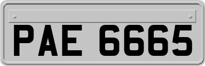 PAE6665