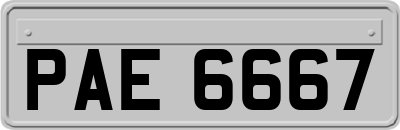 PAE6667
