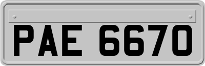 PAE6670