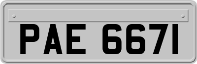 PAE6671