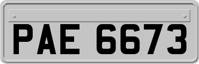 PAE6673