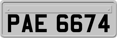 PAE6674