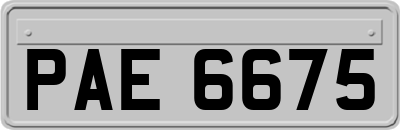 PAE6675