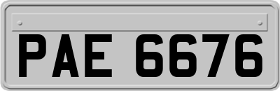 PAE6676