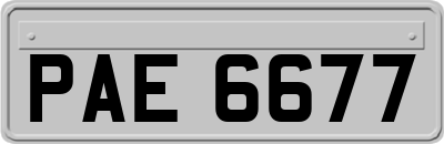 PAE6677