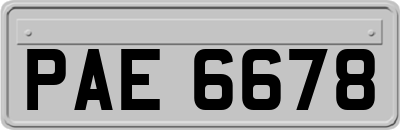 PAE6678