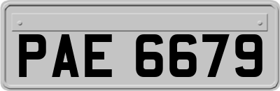 PAE6679