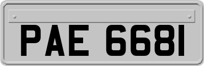 PAE6681