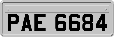 PAE6684