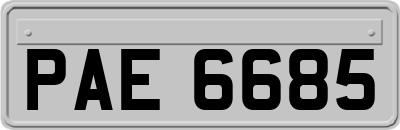 PAE6685