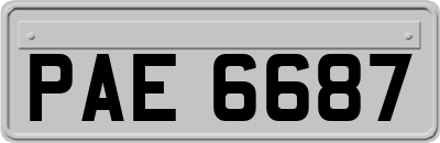 PAE6687
