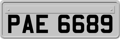 PAE6689
