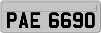 PAE6690