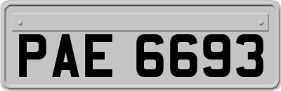PAE6693
