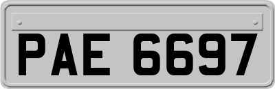 PAE6697
