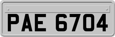 PAE6704