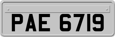 PAE6719