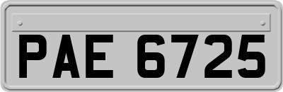 PAE6725