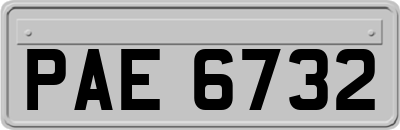 PAE6732