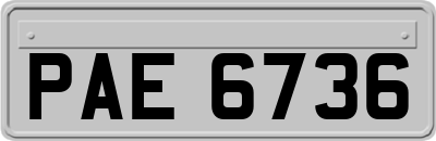 PAE6736