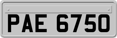 PAE6750